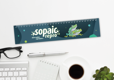 Règle personnalisée en papier indéchirable